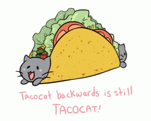 Taco Cat Image